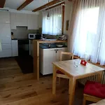 Appartement Gerbera 1 Wengen