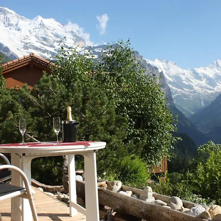 דירה Gerbera 1 *