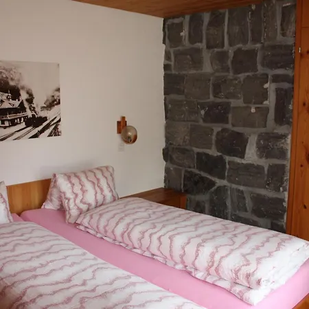 Gerbera 1 * וונגן