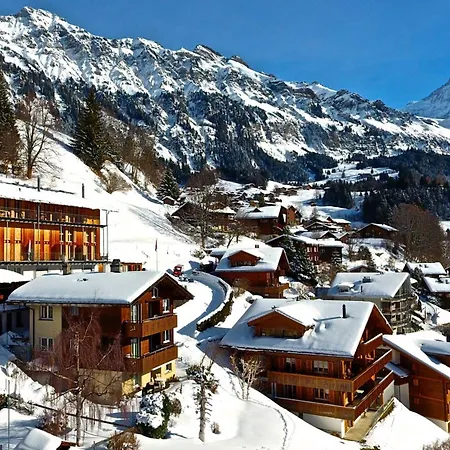 Gerbera 1 וונגן