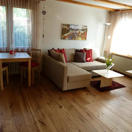 Gerbera 1 וונגן