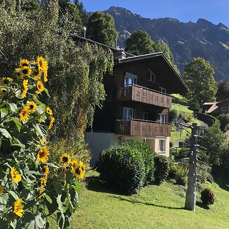 Gerbera 1 Apartment *