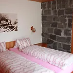 Gerbera 1 Apartment Wengen
