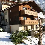 Gerbera 1 * Wengen
